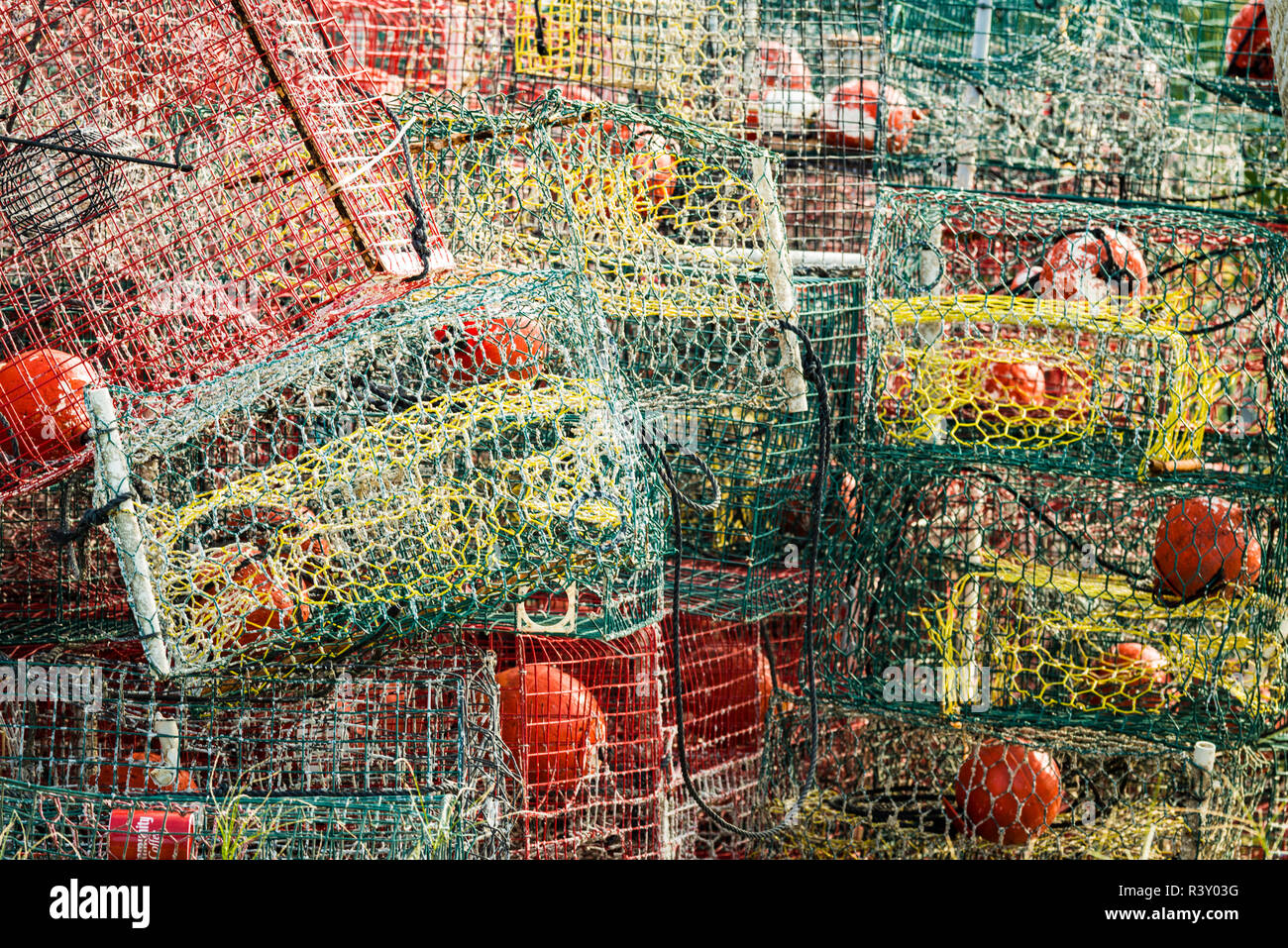 USA, Louisiana. Venice, Lower Mississippi River Basin, Gulf Coast