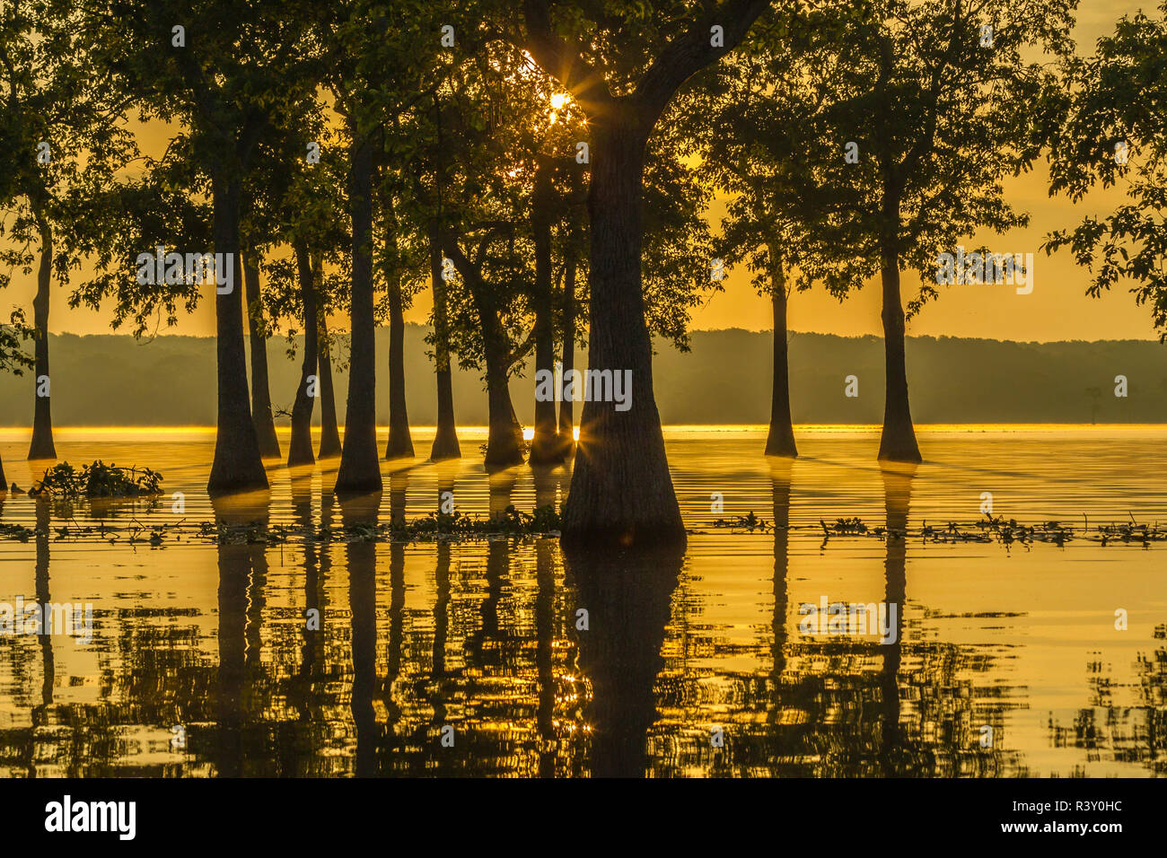 Millers lake hires stock photography and images Alamy