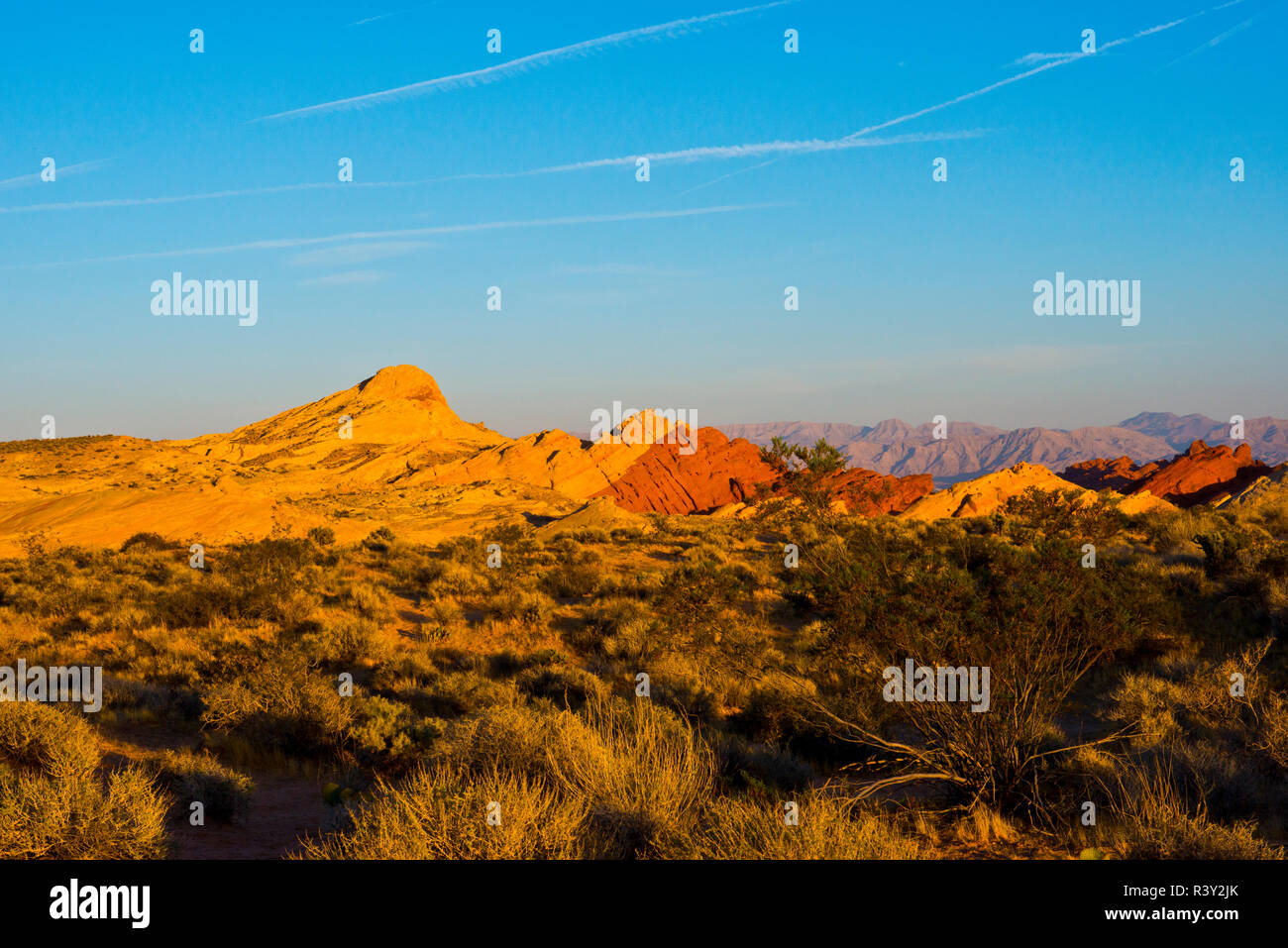 USA, Nevada, Overton. Valley of Fire State Park, first Nevada park ...