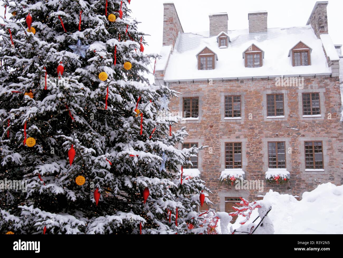 Place Royale Christmas Tree and Winter Wonderland, Quebec City, Quebec Stock Photo - Alamy