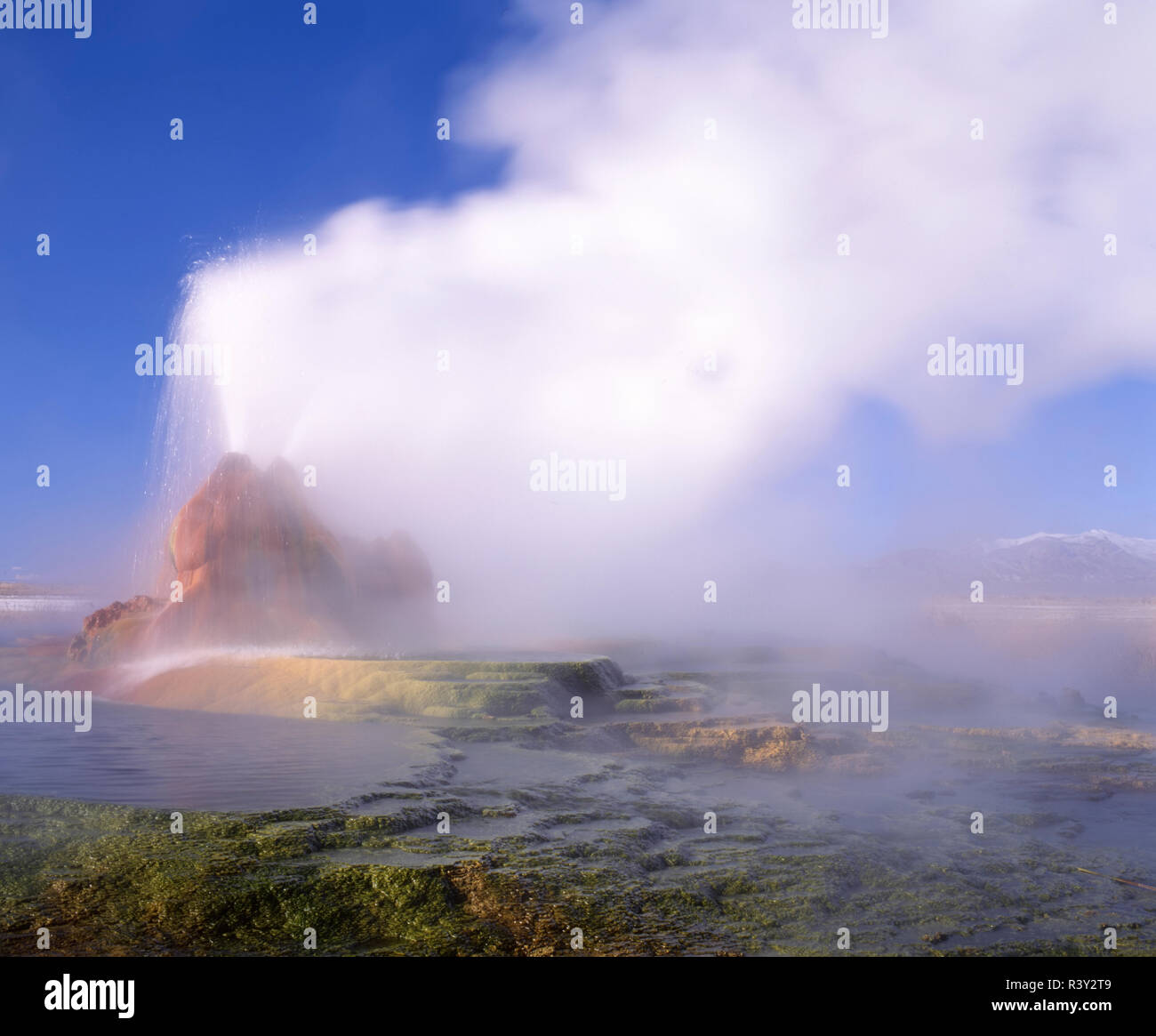 USA, Nevada, Geyser Hot Springs. Travertine cones and terraces of geysers. Stock Photo