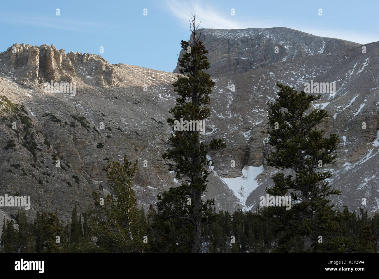 Wheeler Peak, Great Basin National Park. Baker, Nevada, USA Stock Photo