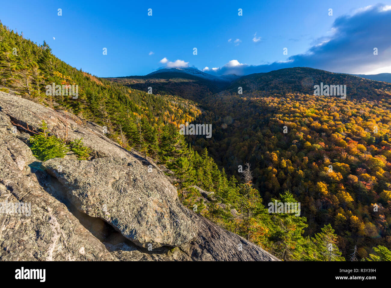 Fall foliage on Mount Madison in New Hampshire's White Mountain