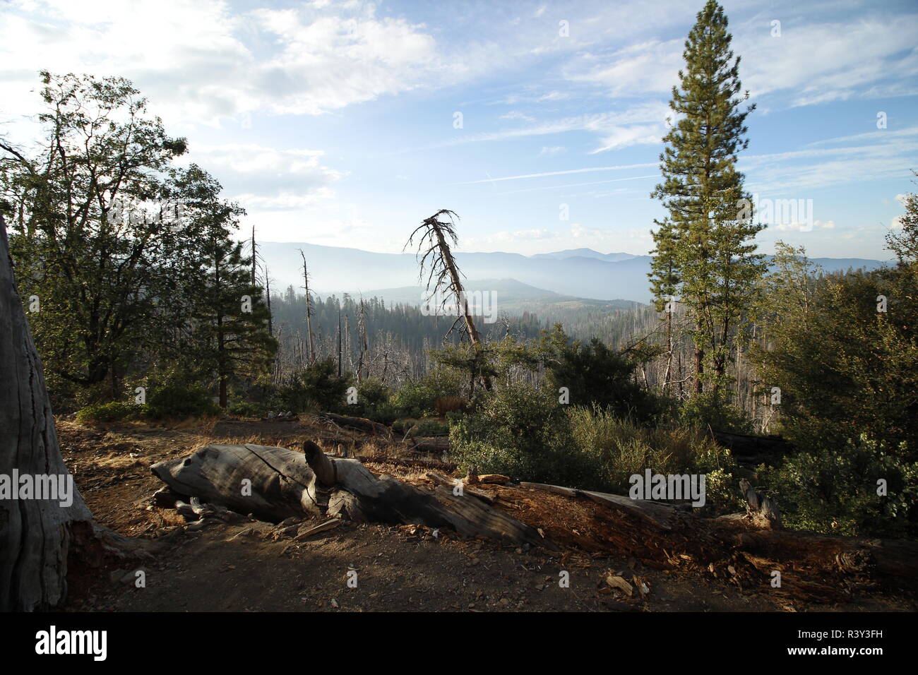 Landschaft in den USA, Ausblick Stock Photo