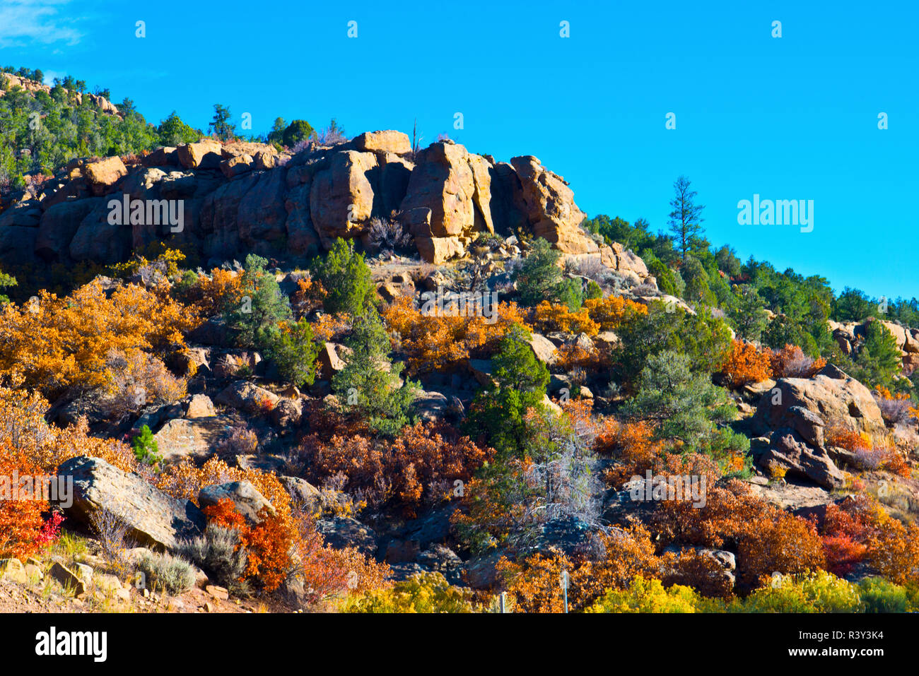 USA, Scenic Fall Landscape along US Highway 64 Stock Photo