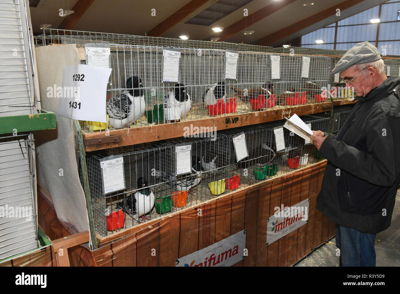 Poultry show cages hires stock photography and images Alamy