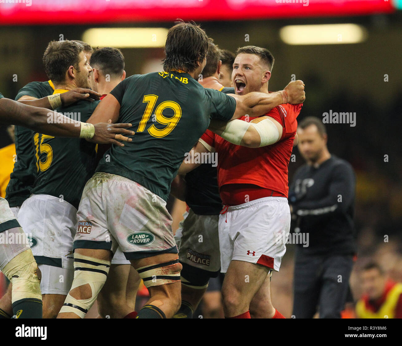 Principality Stadium, Cardiff, UK. 24th Nov, 2018. Rugby Union, Autumn ...