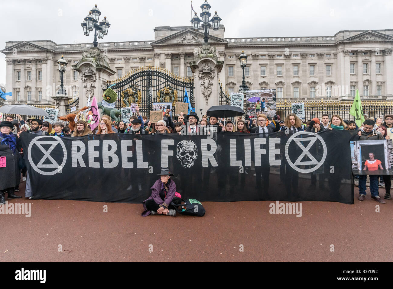 London, UK. 24th November 2018. The Extinction Rebellion funeral procession stands in front of the gates of Buckingham Palace. Gail Bradbrook read a letter from Extinction Rebellion to the Queen, asking her to save her country and the world by insisting the government take urgent climate action and press other governments to also do so, and the campaigners repeated the rebellion declaration once more. People then came to lay their wreaths, flowers, and other things they had brought on the coffin in silence, after which there was music and dance and I left. Peter Marshall/Alamy Live News Stock Photo