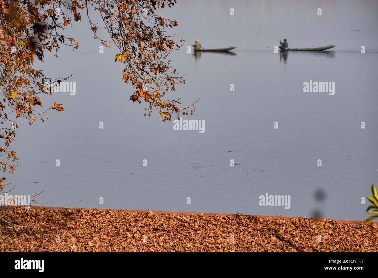 Kashmiri boatman seen rowing his boat past the Maple tree on the waters of Dal Lake in Srinagar. A ban on diesel vehicles with Euro 4 engines or older engines as well as for petrol engines of the classes Euro 1 and 2 will be effective from April 2019 and  from September 2019 for diesel cars in class 5. Stock Photo