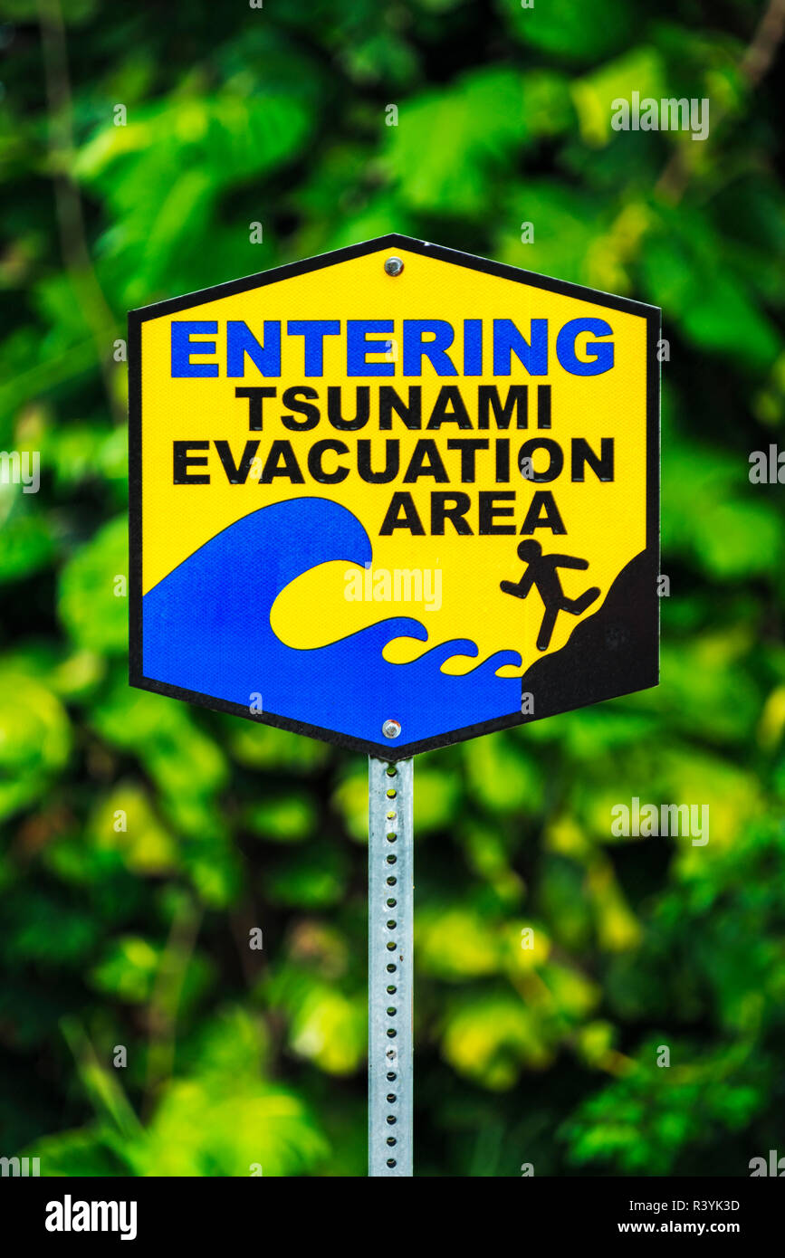 Tsunami hawaii big island