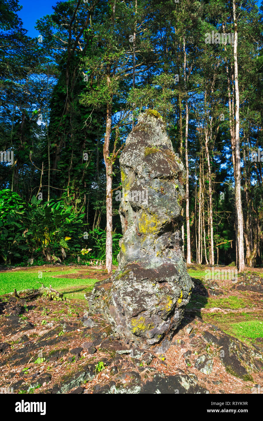 Lava tree molds, Lava Tree State Monument, Big Island, Hawaii, USA Stock  Photo - Alamy