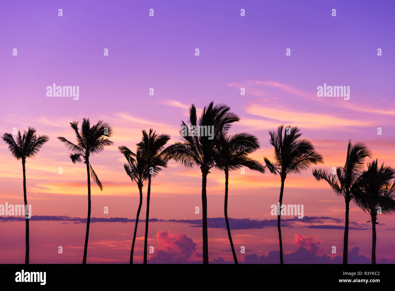 Kohala Coast Sunset Hawaii High Resolution Stock Photography And Images Alamy Kohala Coast Sunset Hawaii High Resolution Stock Photography And Images Alamy