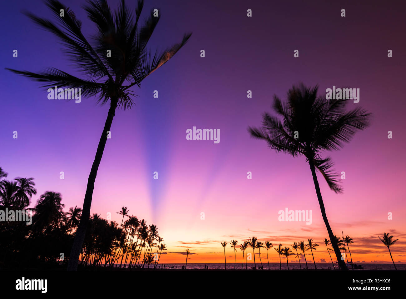 Kohala Coast Sunset Hawaii High Resolution Stock Photography And Images Alamy Kohala Coast Sunset Hawaii High Resolution Stock Photography And Images Alamy