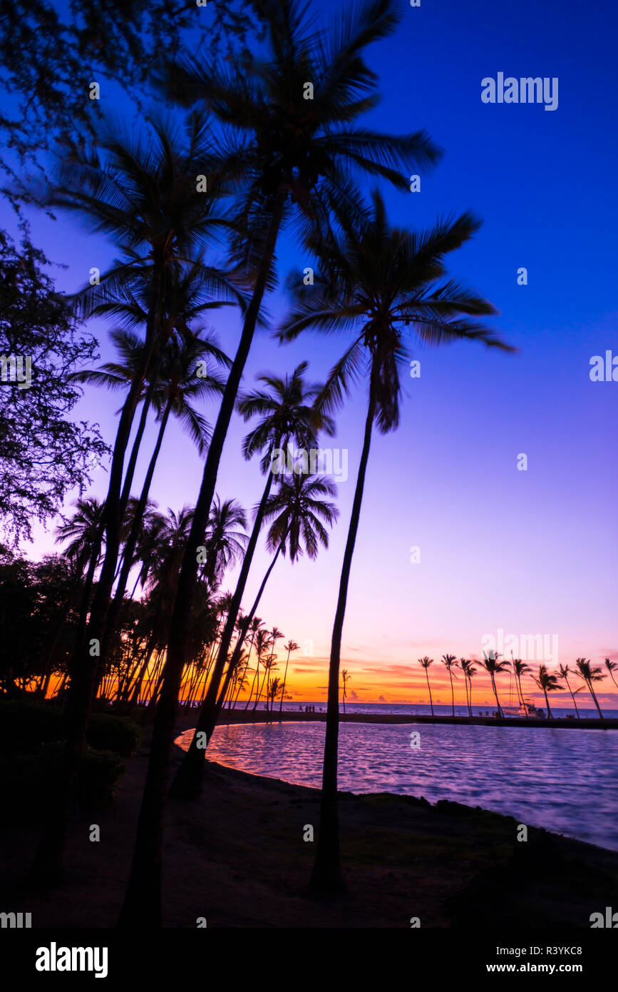 Sunset through silhouetted palms at Anaeho'omalu Bay, Kohala Coast, Big Island, Hawaii, USA Stock Photo