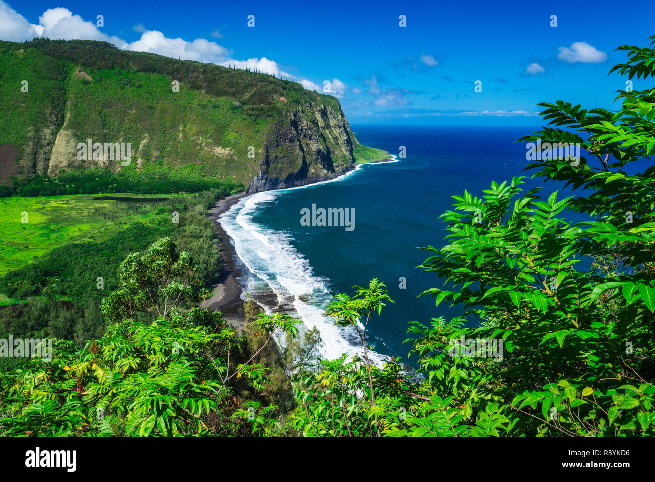 Hawaii big island farmland hires stock photography and images Alamy
