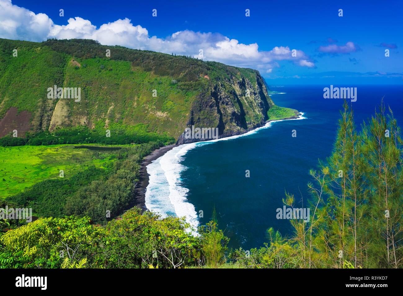 Waipio Valley and beach, Hamakua Coast, The Big Island, Hawaii, USA