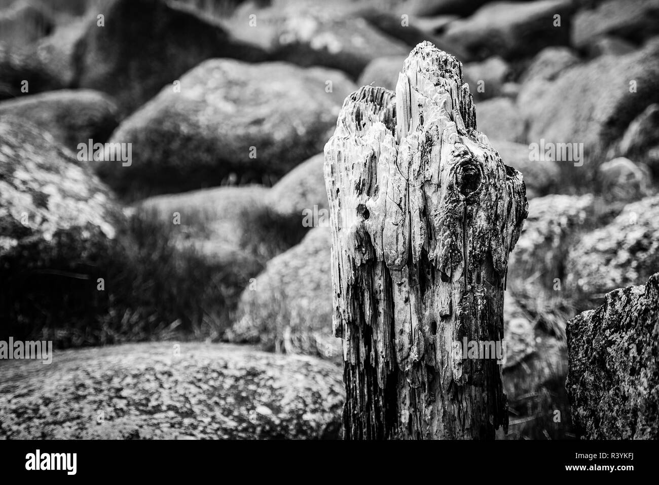 Baltic seaside Black and White Stock Photos & Images - Alamy