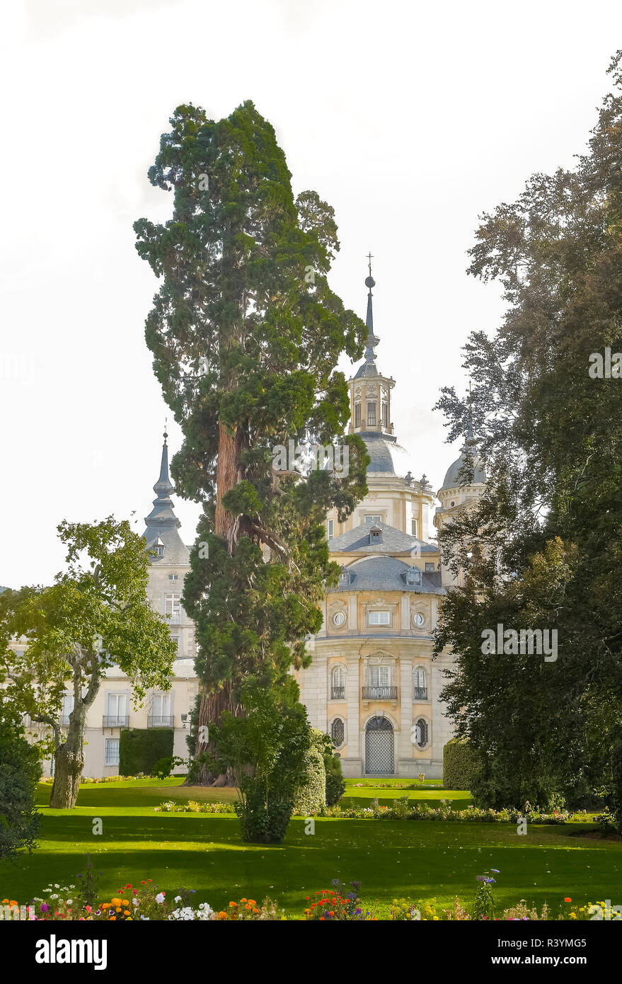 Garden In La Granja De San Ildefonso Segovia Spain With A Giant garden-in-la-granja-de-san-ildefonso-segovia-spain-with-a-giant