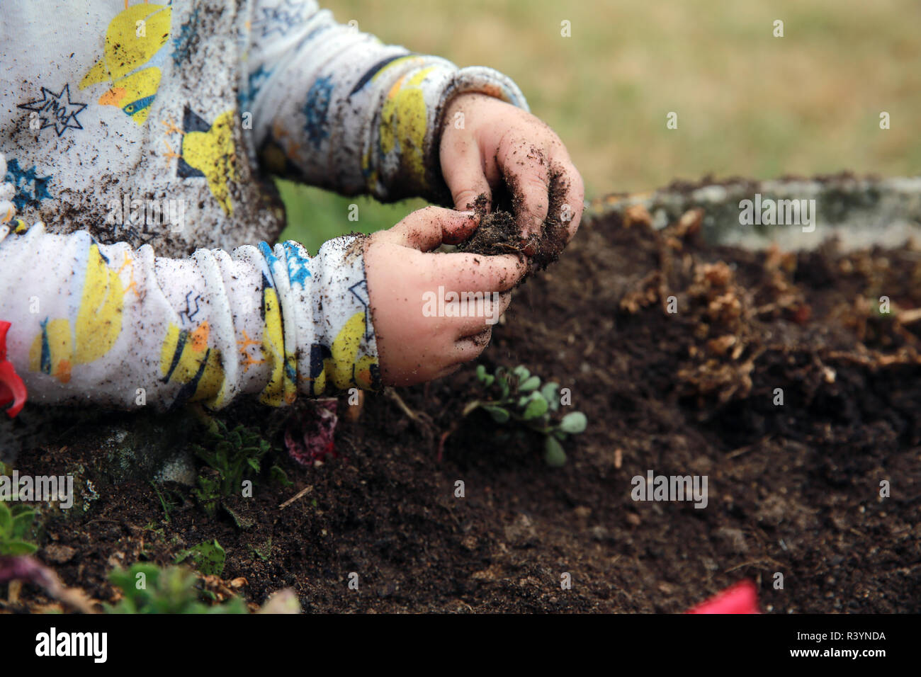 Toddler playing in the dirt in garden Stock Photo Alamy