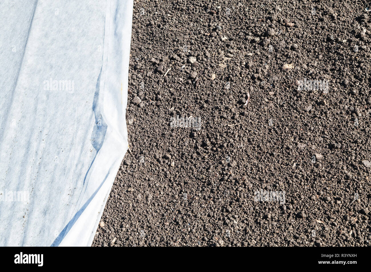 lawn with grass seed and covering nonwoven fabric Stock Photo Alamy