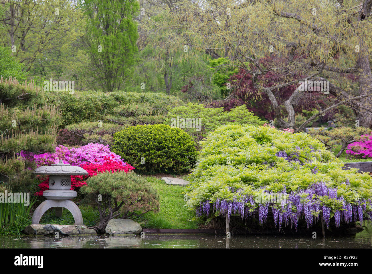 Japanese Garden in spring, Missouri Botanical Garden, St. Louis, Missouri Stock Photo