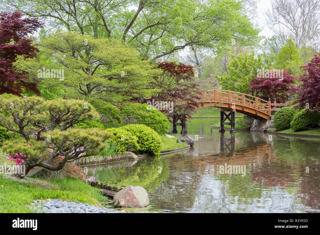 Japanese Garden in spring, Missouri Botanical Garden, St. Louis, Missouri Stock Photo