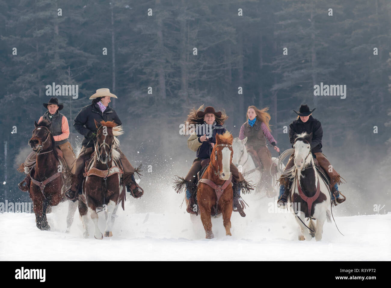 Cowgirls riding at full gallop toward camera in snow, Kalispell, Montana Stock Photo