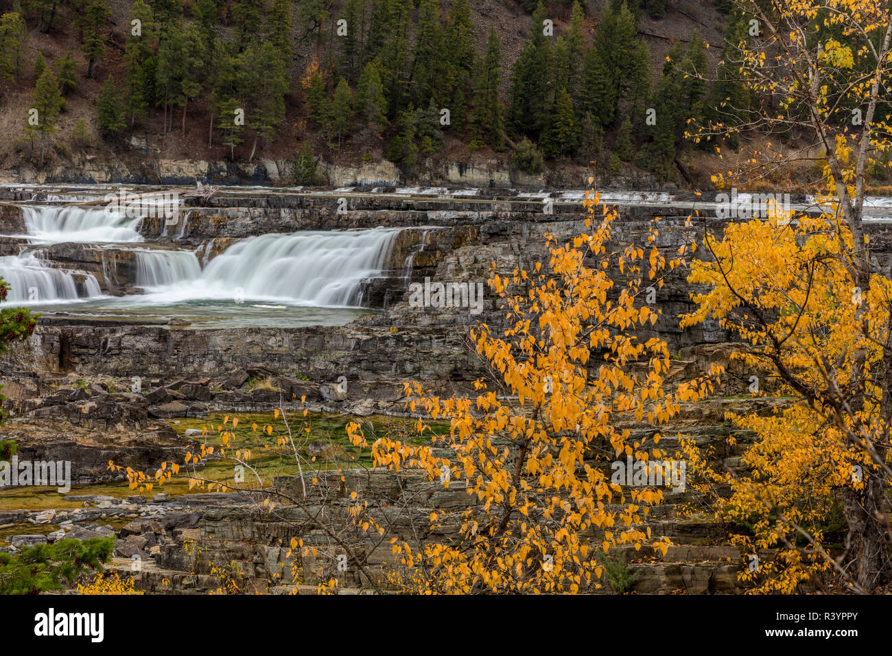 Kootenai Falls in the Kootenai National Forest near Troy, Montana, USA Stock Photo
