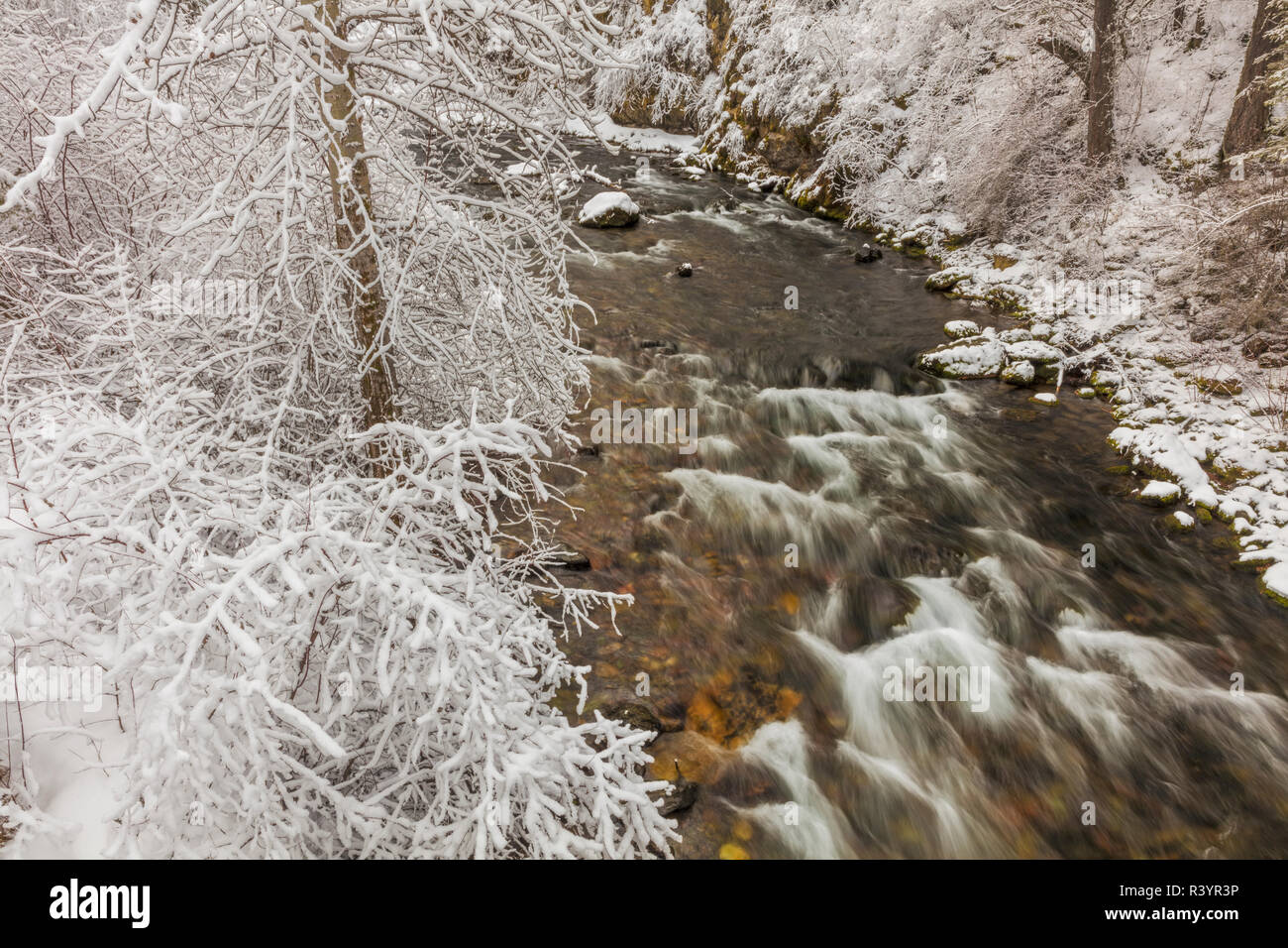 Fresh snowfall along the Jocko River near Arlee, Montana, USA Stock Photo Alamy
