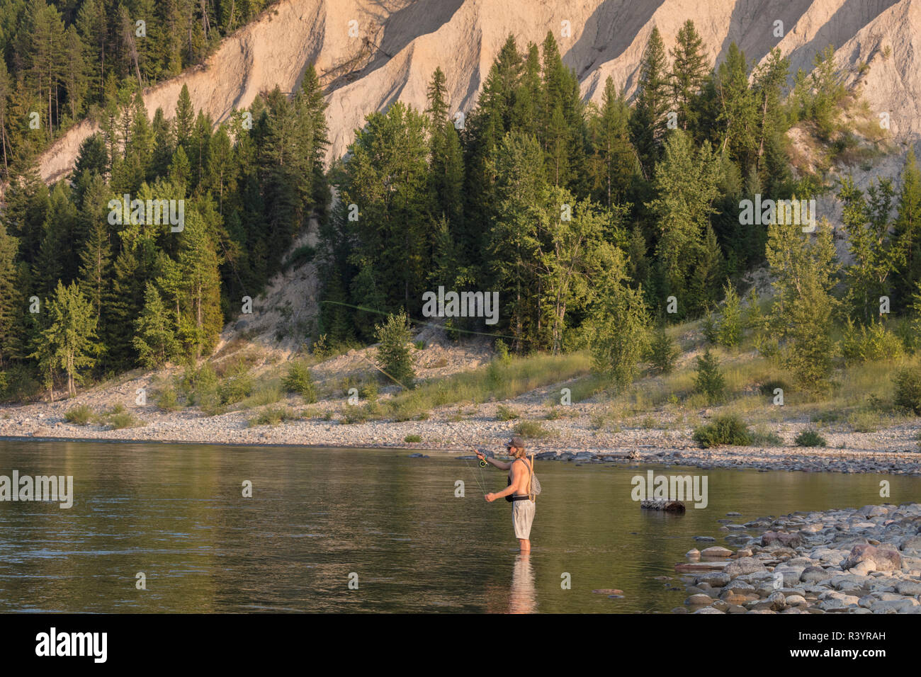 Fly fishing on the Flathead River near Coram, Montana, USA (MR Stock