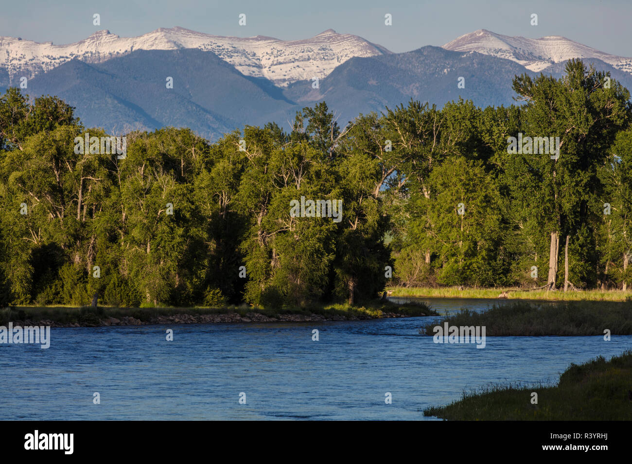 The Jefferson River with Bridger Mountains near Three Forks, Montana