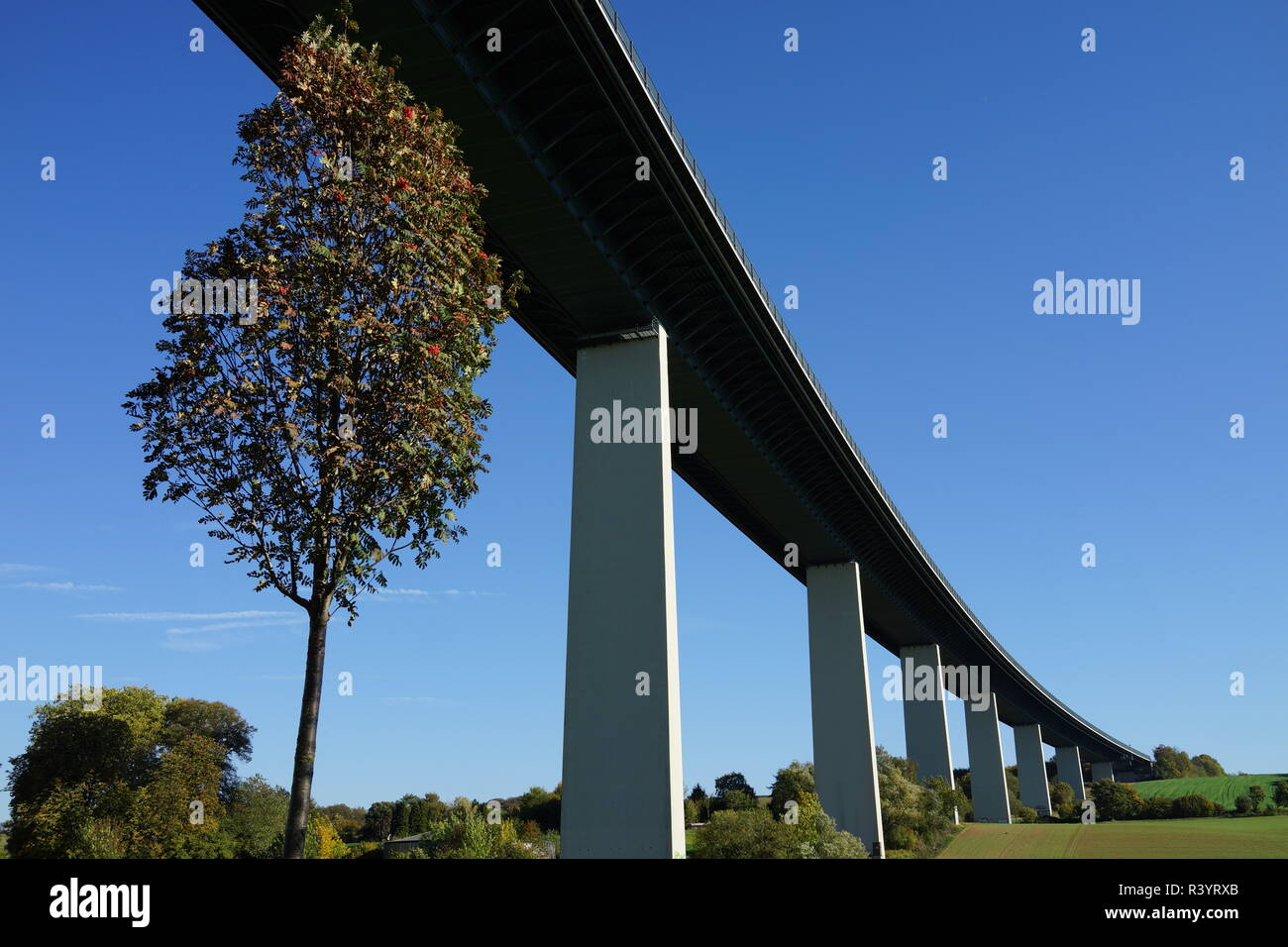 View from below of a motorway bridge with mighty, high white pillars, in the foreground a small tree Stock Photo