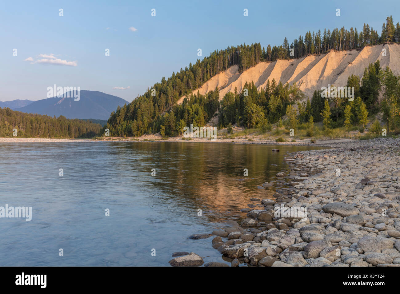 Clay cliffs along the Flathead River near Coram, Montana, USA Stock