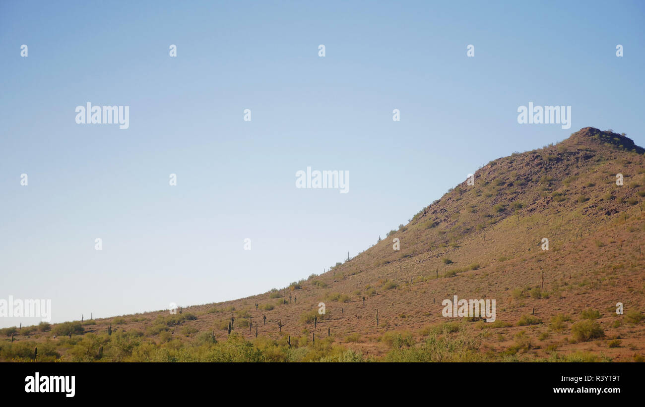 Phoenix Hillside Stock Photo