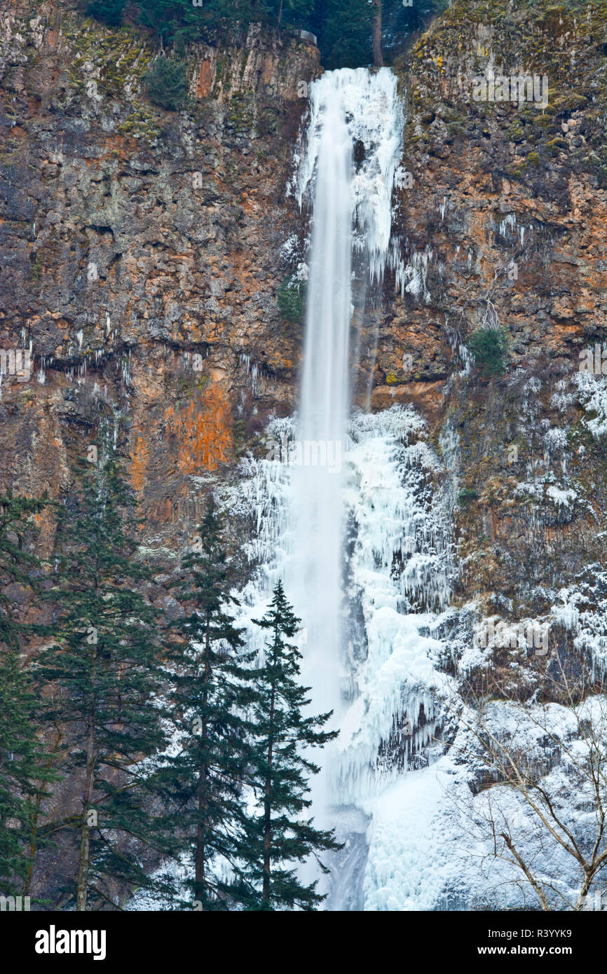 Multnomah Falls Snow