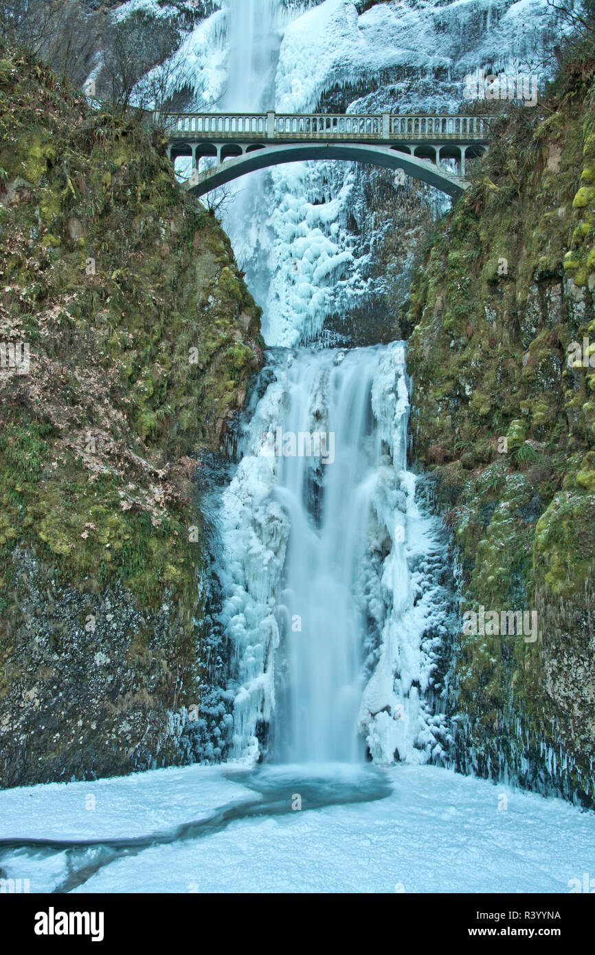 Multnomah Falls, frozen, winter, Columbia Gorge, Oregon, USA Stock