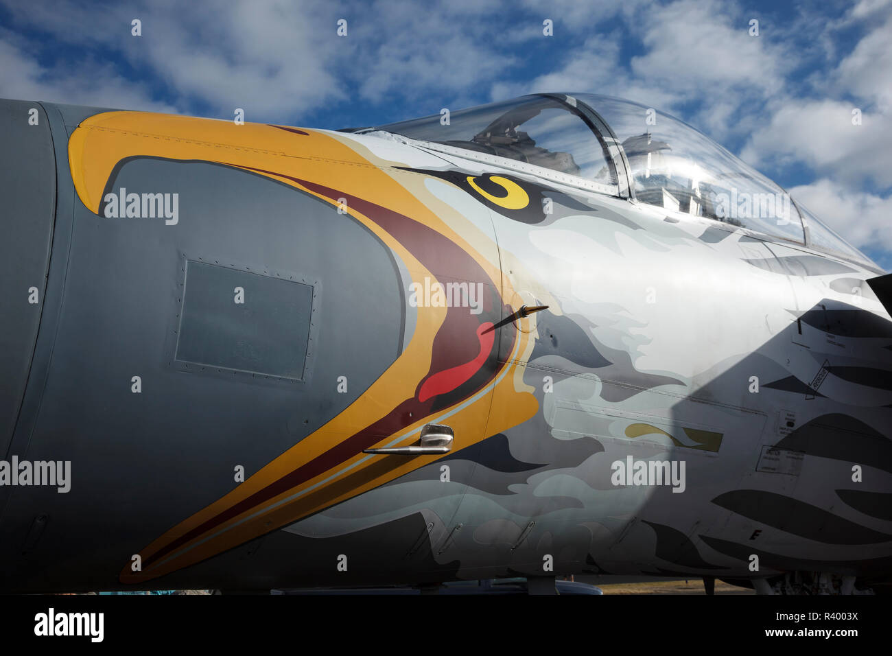 USA, Oregon, Hillsboro, F15C Eagle in special livery for the 75th