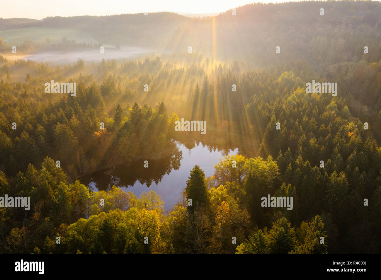 Sunrays over forest, sunrise, nature reserve Klosterfilz, Dietramszell, drone shot, Tölzer Land, Upper Bavaria, Bavaria Stock Photo