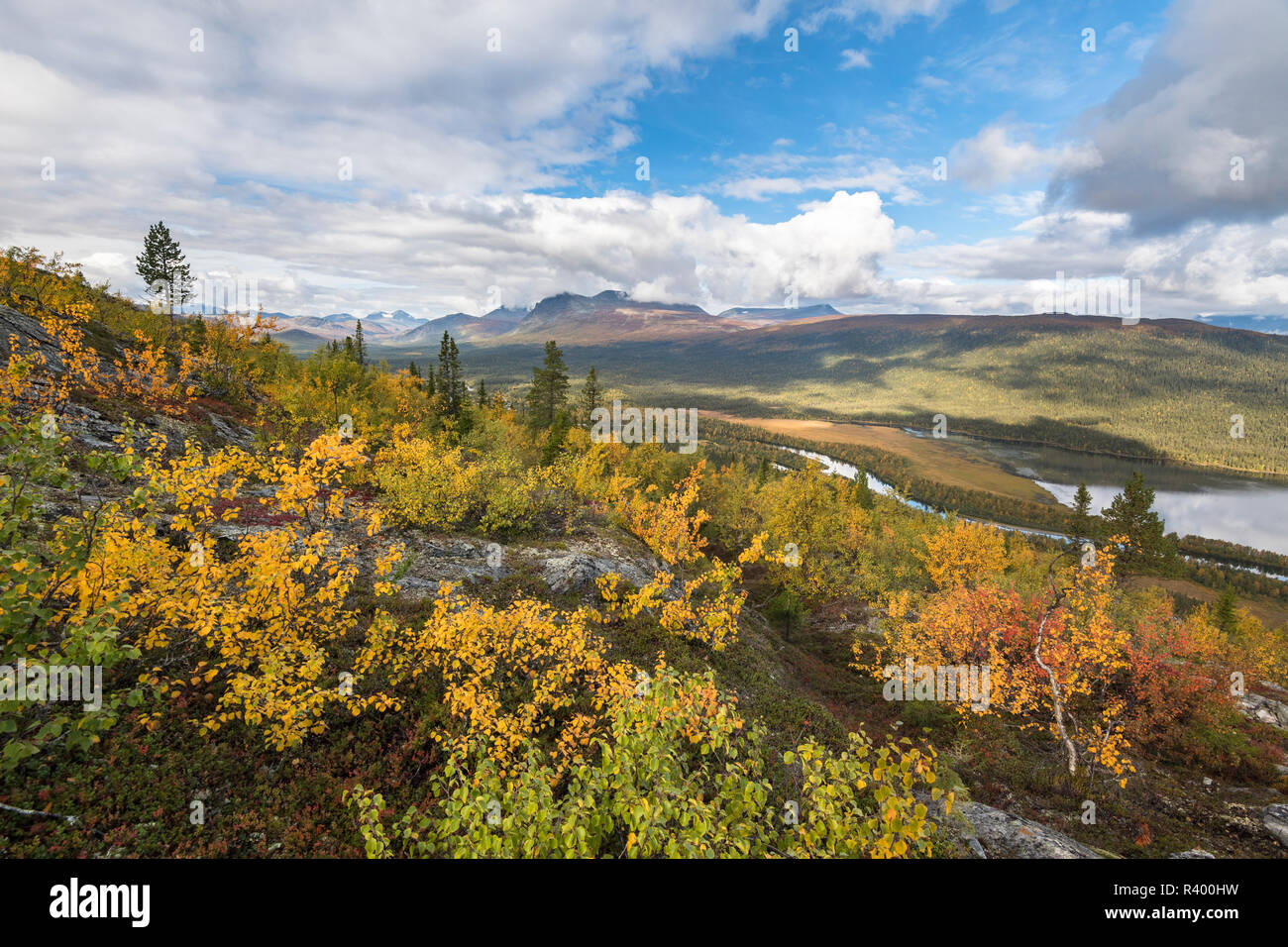 View to the mountains of Sarek National Park, autumn vegetation, Kvikkjokk, Laponia, Norrbotten, Lapland, Sweden Stock Photo