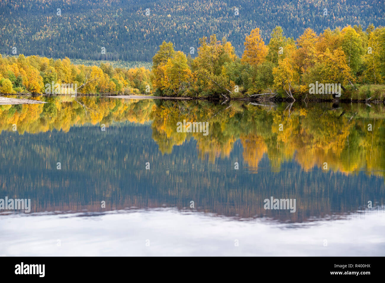 River Tarraätno in autumn, Kvikkjokk, Laponia, Norrbotten, Lapland, Sweden Stock Photo