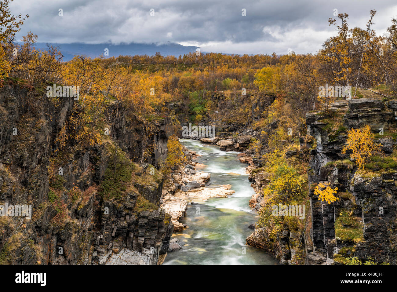 Abisko Canyon in autumn, river Abiskojåkka, Abiskojakka, Abisko National Park, Norrbotten, Laponia, Lapland, Sweden Stock Photo