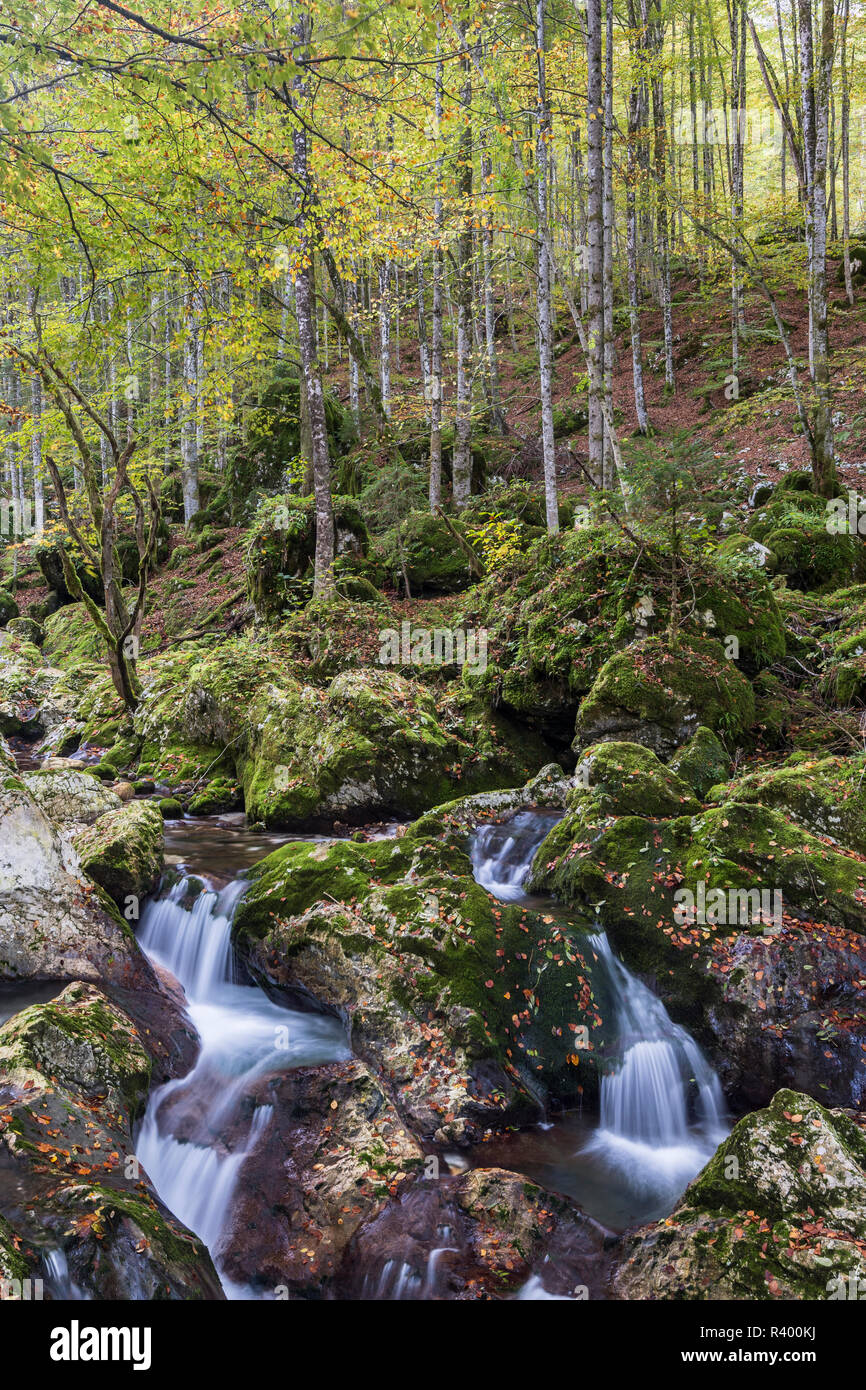 Watercourse of the autumnal Lepenjica, Soca Valley, Bovec, Triglav National Park, Slovenia Stock Photo