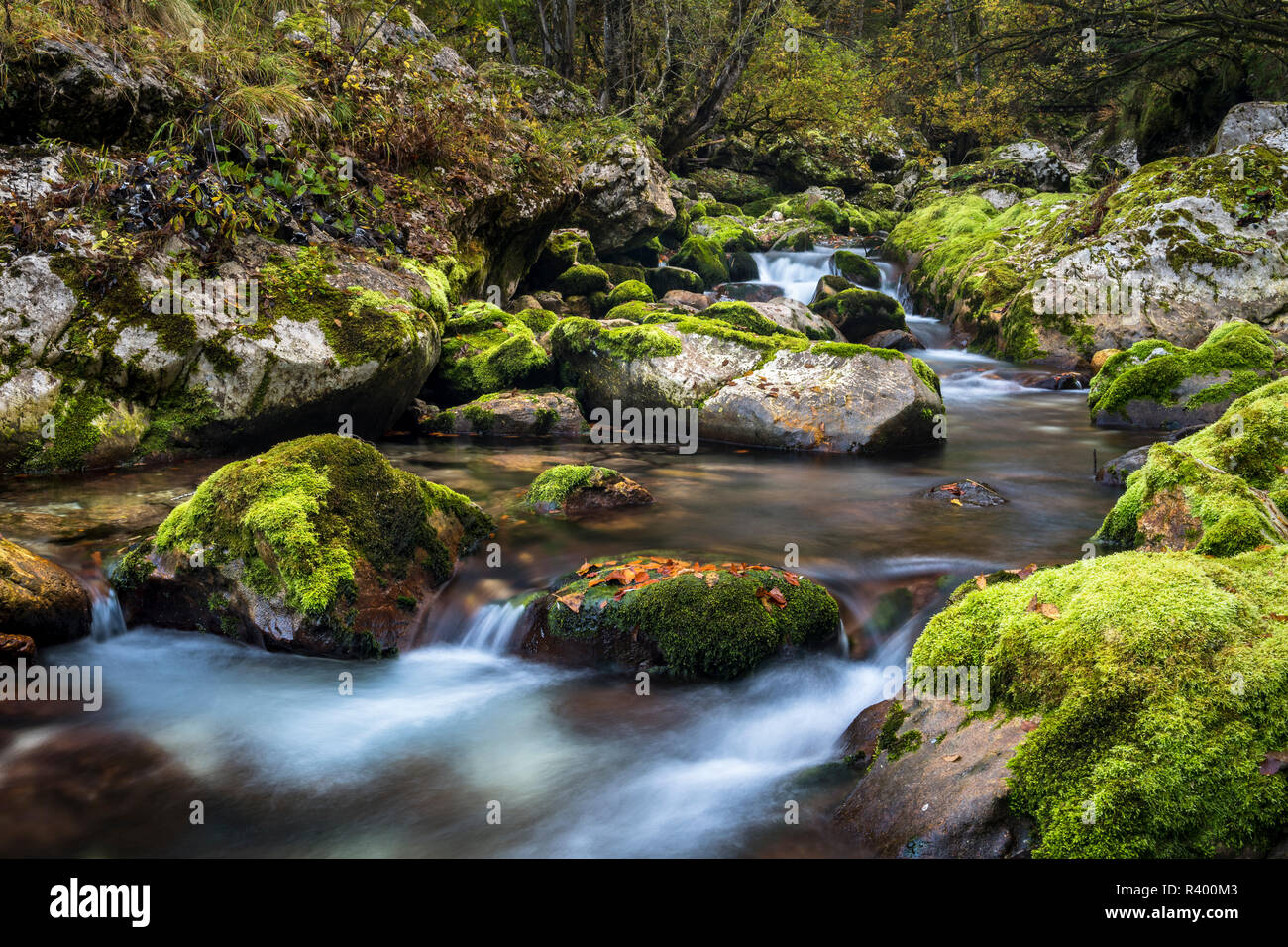 Creek with mossy rocks, Lepenjica watercourse, Soca valley, Bovec, Triglav National Park, Slovenia Stock Photo