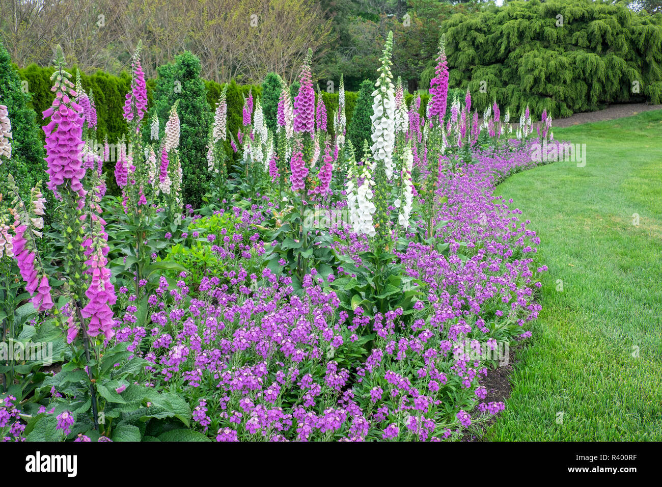 Longwood Gardens, spring flowers, Kennett Square, Pennsylvania, USA Stock Photo