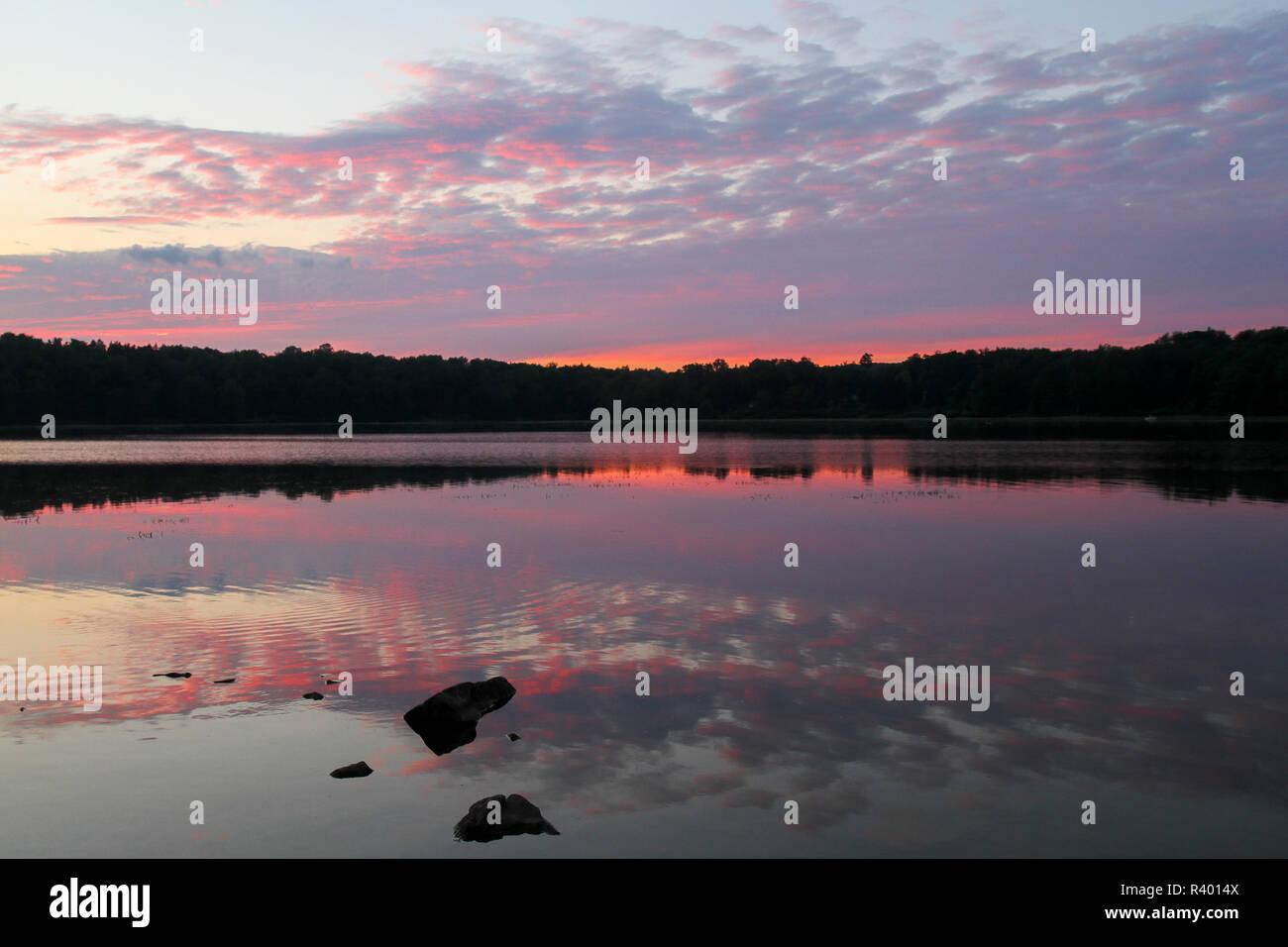 Sunset At Pickerel Point, Promised Land State Park, Pennsylvania, Usa Stock Photo Alamy