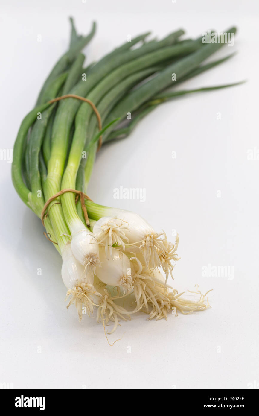 spring onion isolated as cut with tiefenunschÃ¤rfe Stock Photo