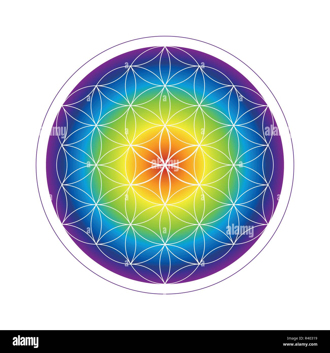 colorful flower of life geometry in rainbow colors vector illustration EPS10 Stock Vector