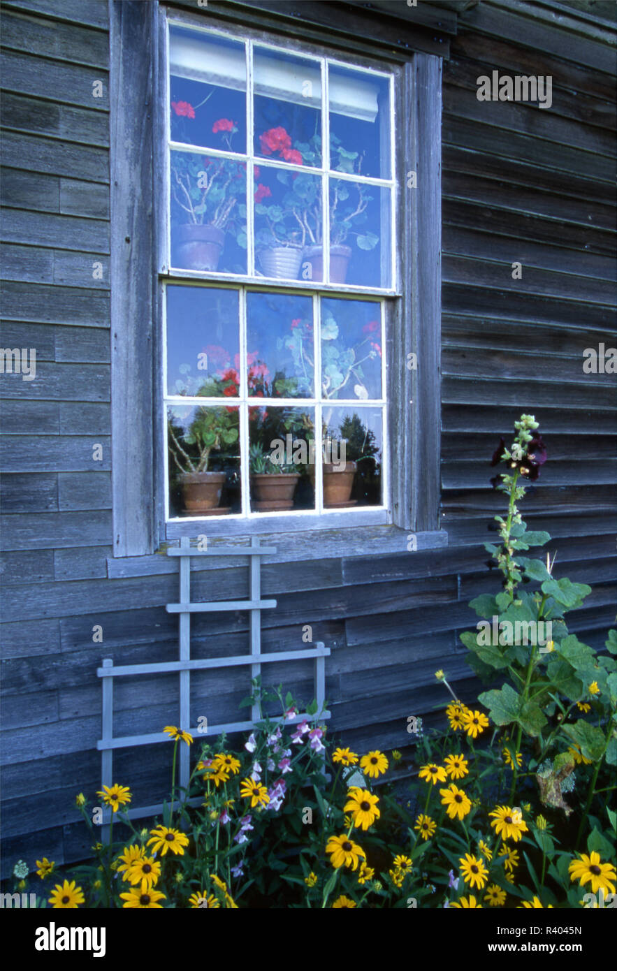 Window of Olson House, where 'Christina's World' was painted by Andrew