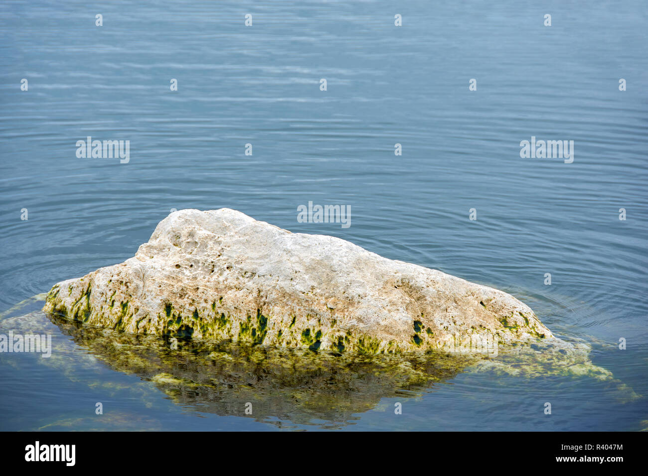 large rock with algae growth in Lake Michigan water Stock Photo