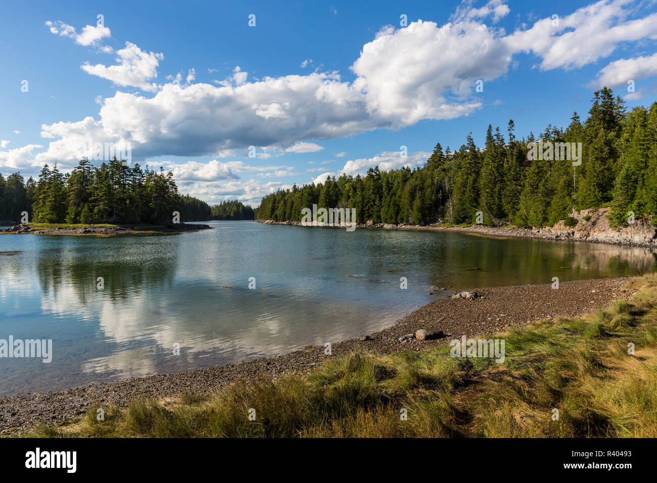 View from the Lower Harbor Trail near Schoodic Woods in Maine's Acadia